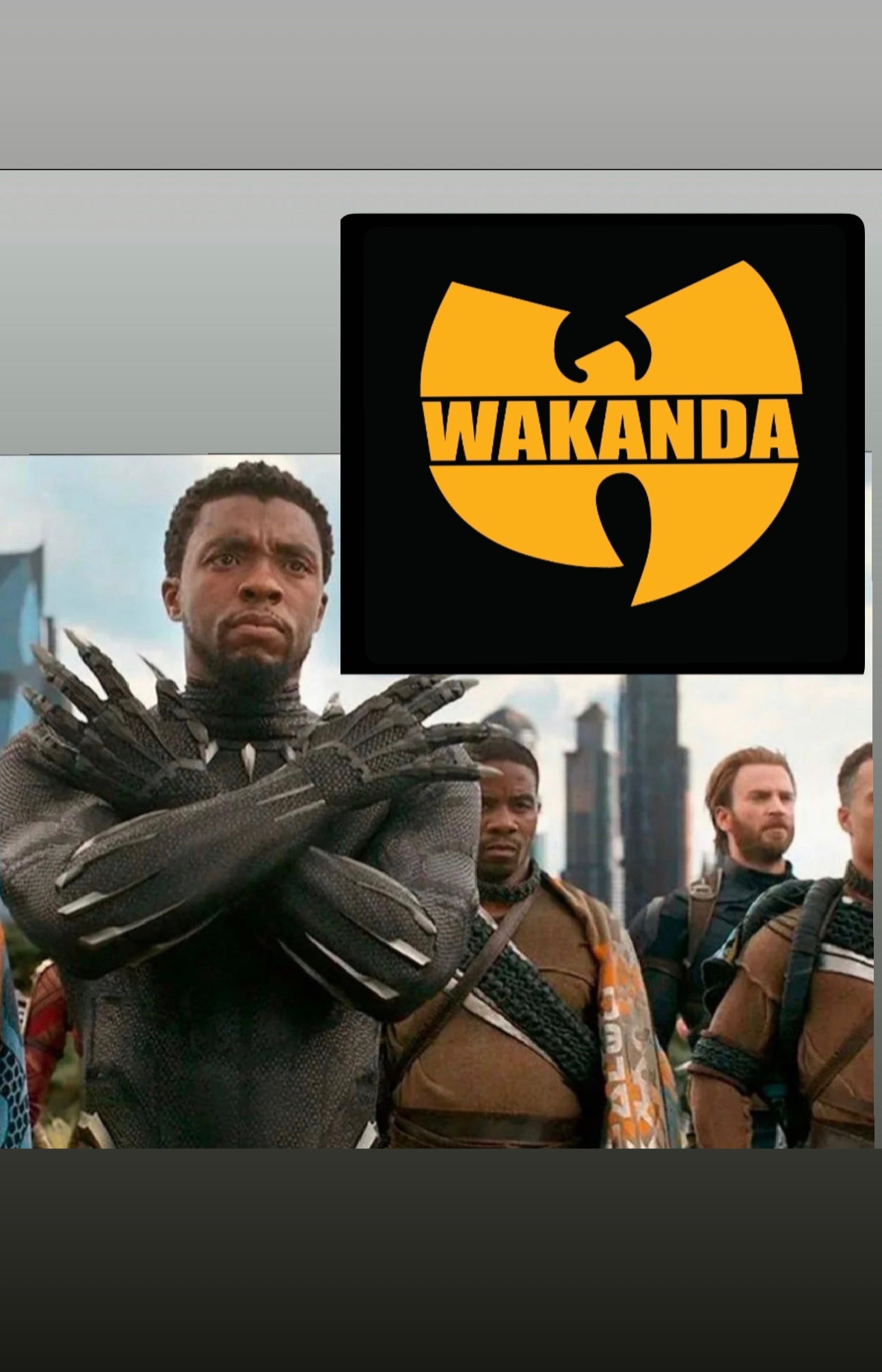 Wakanda/WuTang T-Shirt